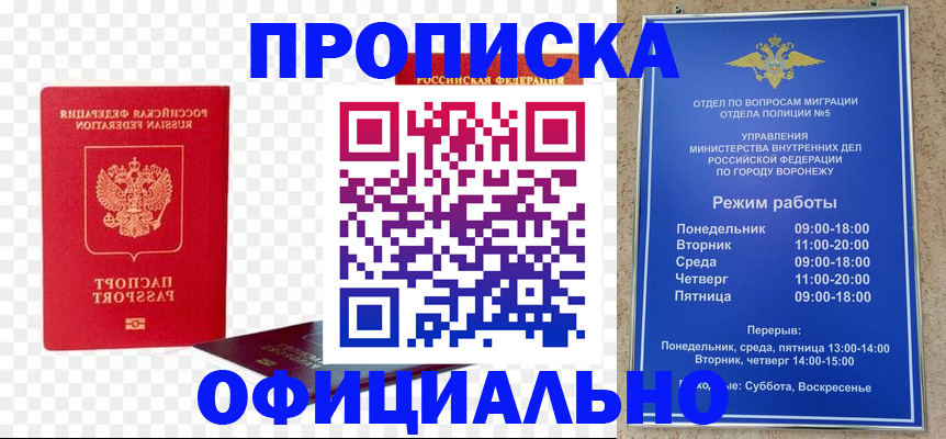 прописка иностранных граждан в Сольцах